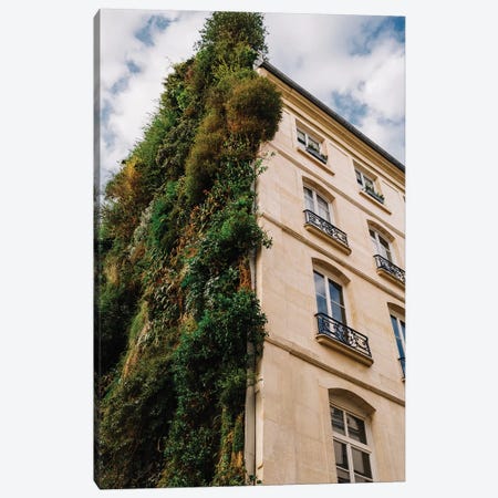 Parisian Vertical Garden IV Canvas Print #BTY836} by Bethany Young Canvas Art Print