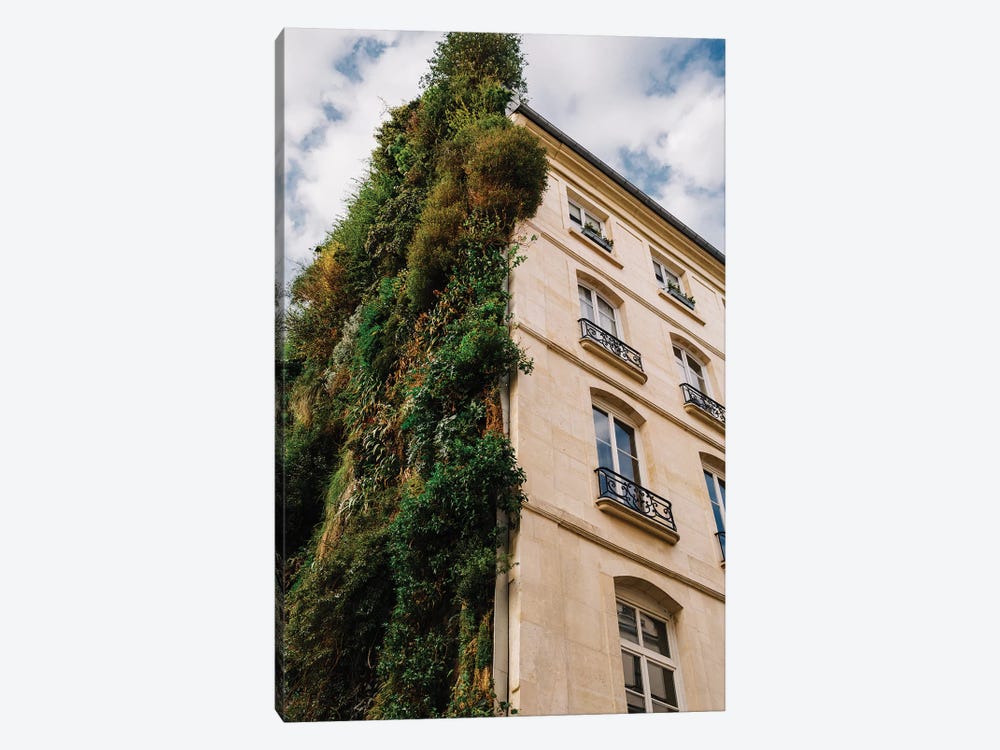 Parisian Vertical Garden IV by Bethany Young 1-piece Canvas Art