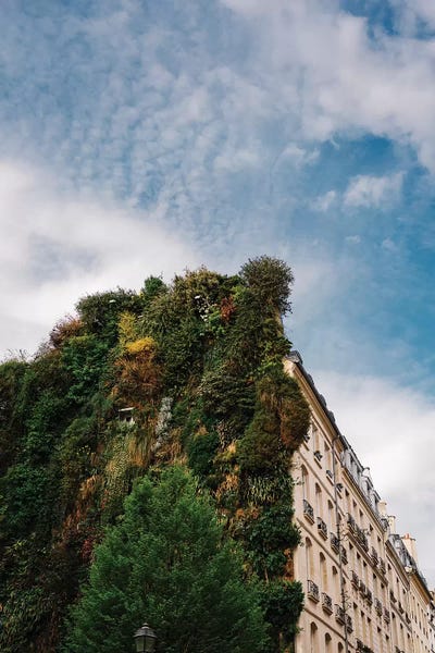 Parisian Vertical Garden by Bethany Young canvas print