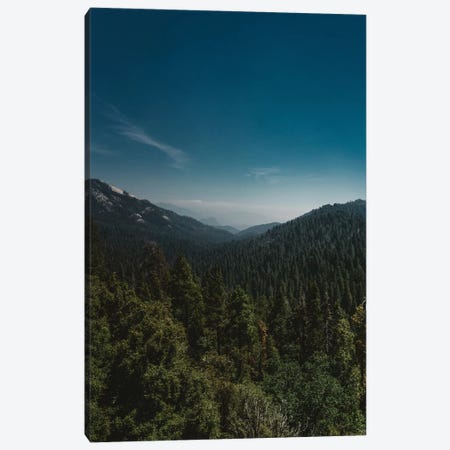 Sequoia National Park XI Canvas Print #BTY83} by Bethany Young Canvas Wall Art