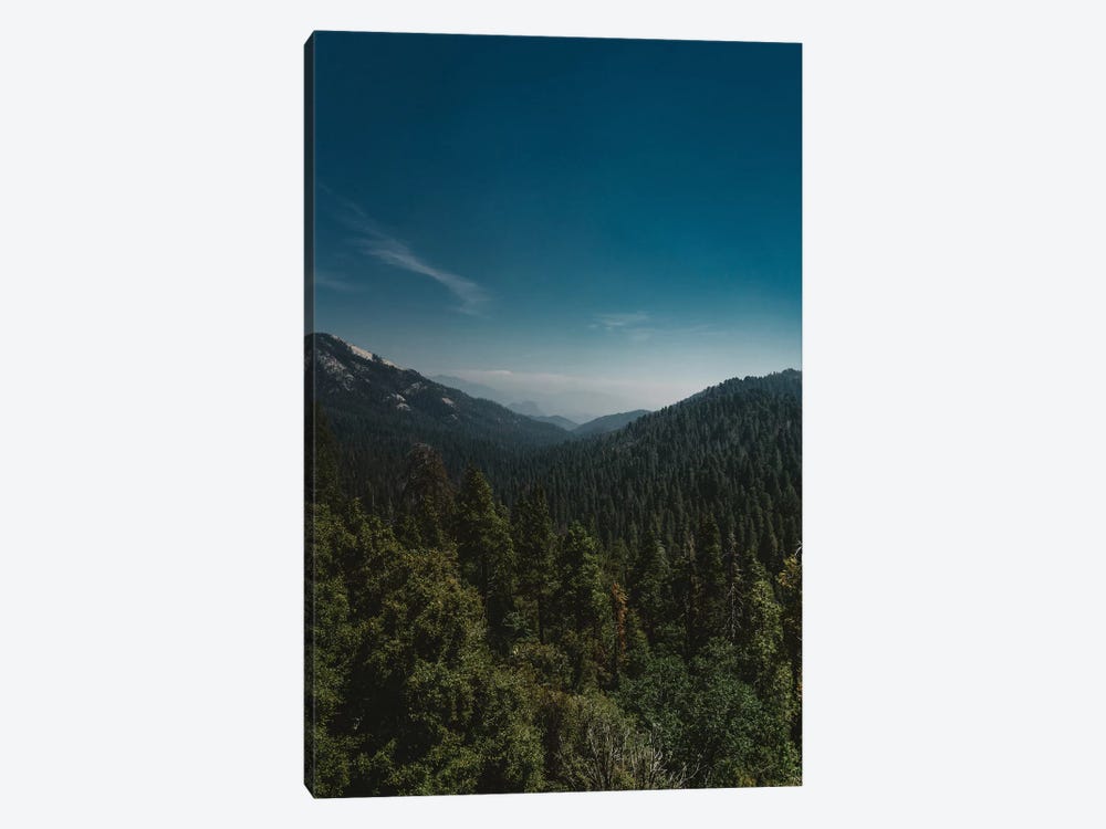 Sequoia National Park XI by Bethany Young 1-piece Canvas Art