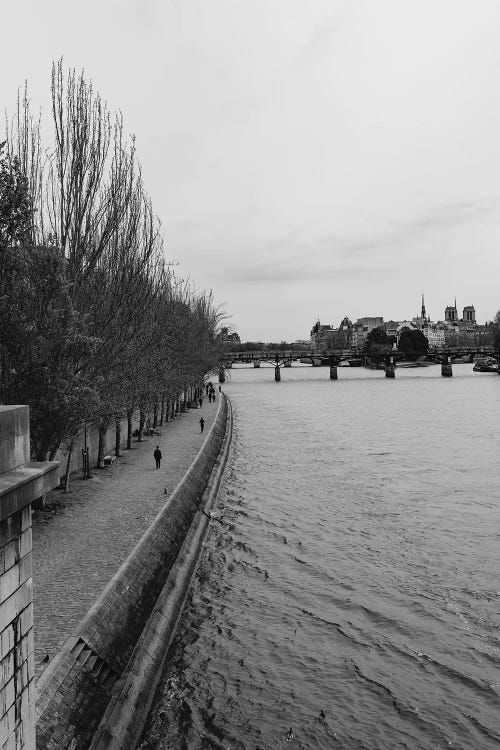 The Seine by Bethany Young wall art