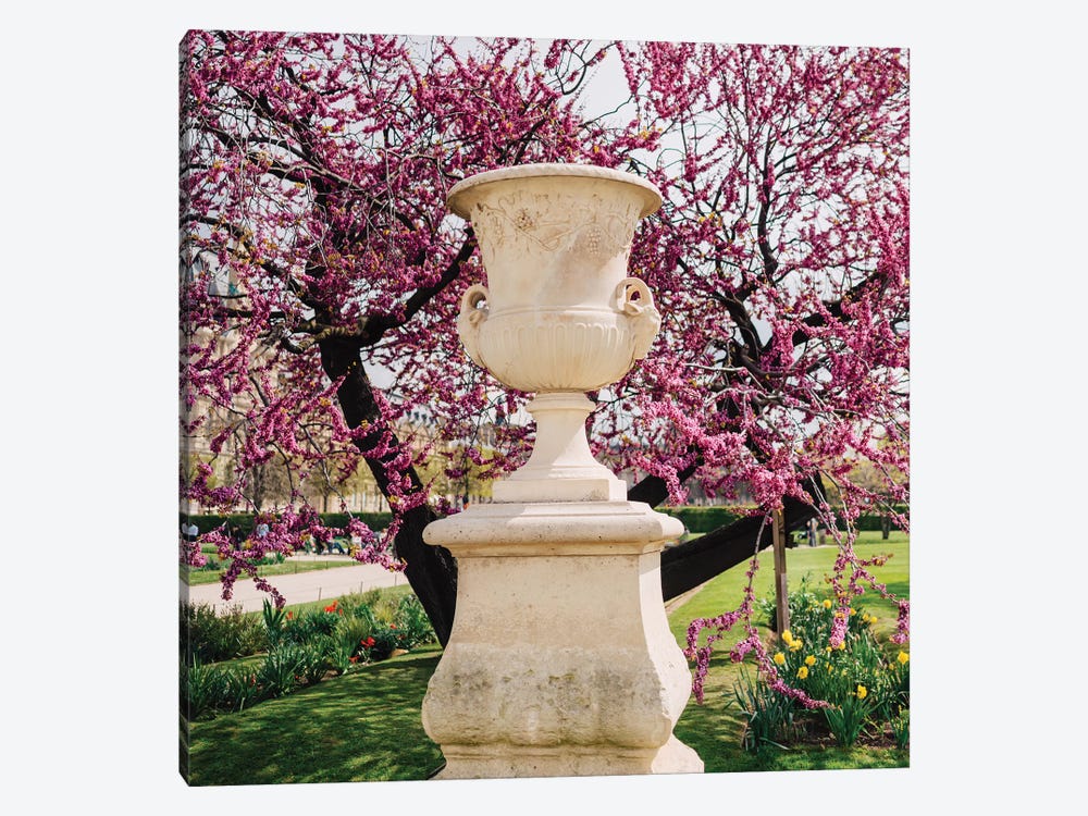 Tuileries Garden VI by Bethany Young 1-piece Canvas Art
