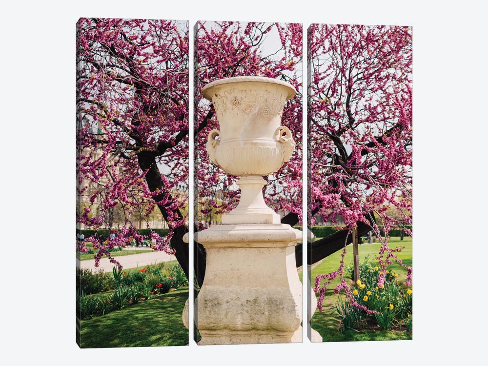 Tuileries Garden VI by Bethany Young 3-piece Canvas Wall Art