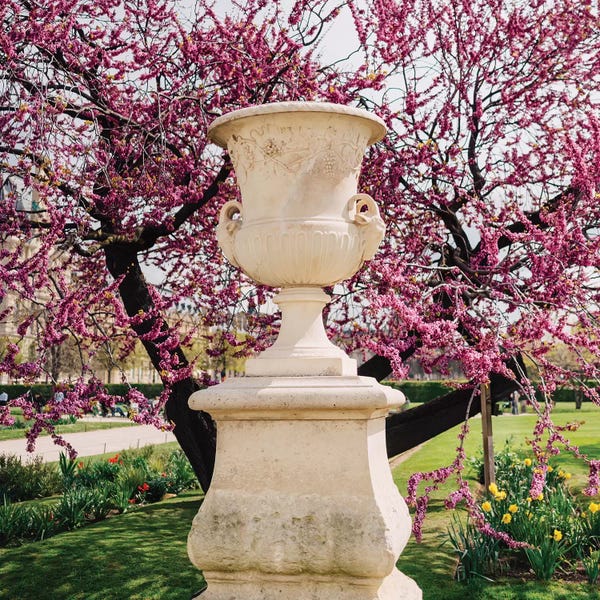 Paris Photography: Tuileries Garden VI by Bethany Young