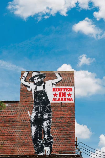 Alabama: Alabama Architecture VII by Bethany Young