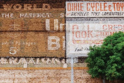 Alabama Architecture XIX by Bethany Young metal wall art