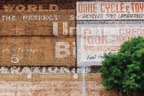 Alabama: Alabama Architecture XIX by Bethany Young