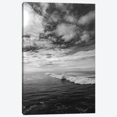 Monochrome San Diego Canvas Print #BTY883} by Bethany Young Art Print