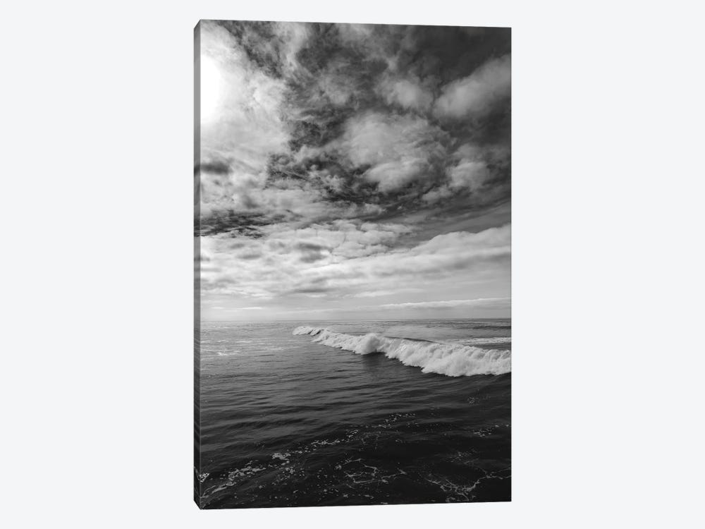 Monochrome San Diego by Bethany Young 1-piece Canvas Art