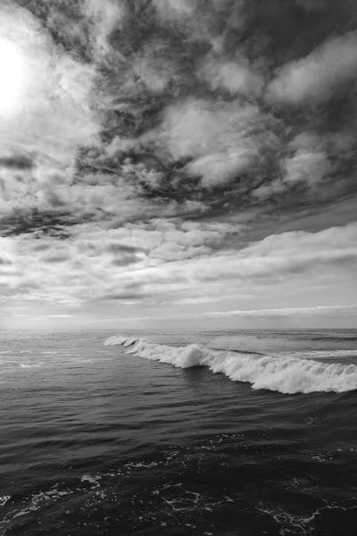 San Diego: Monochrome San Diego by Bethany Young