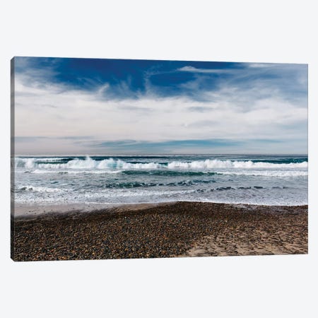 Torrey Pines San Diego V Canvas Print #BTY891} by Bethany Young Canvas Wall Art
