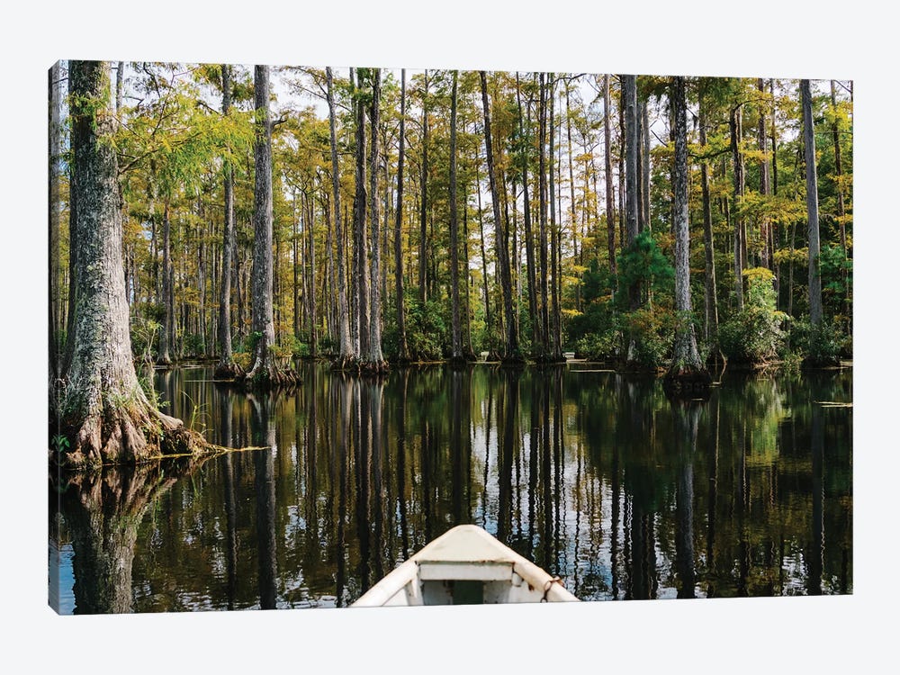 Charleston Cypress Gardens Boat III by Bethany Young 1-piece Art Print