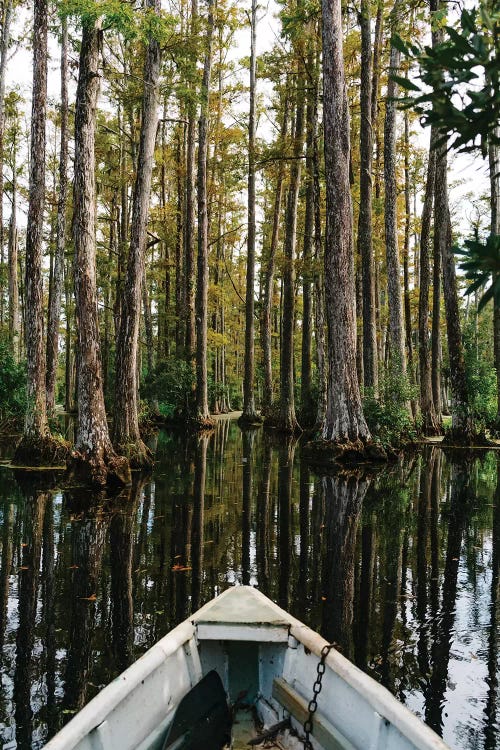 Charleston Cypress Gardens Boat IV