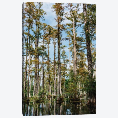 Charleston Cypress Gardens II Canvas Print #BTY950} by Bethany Young Art Print