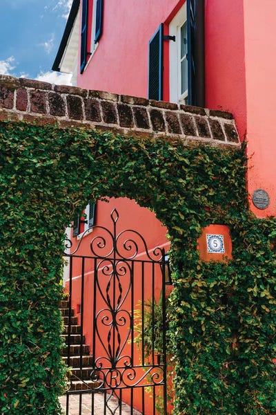 Gates: Charleston Pink VIII by Bethany Young