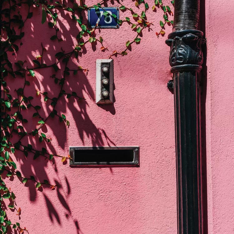 Charleston Pink XIX