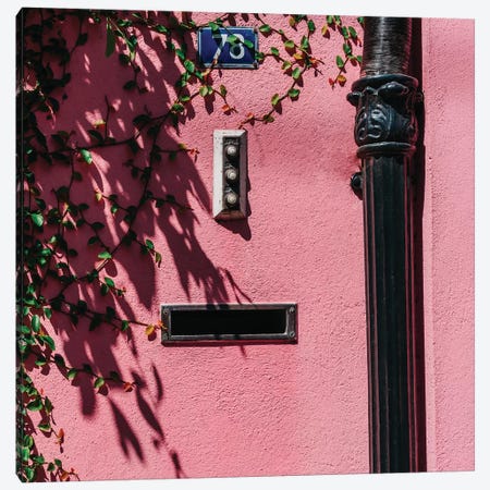 Charleston Pink XIX Canvas Print #BTY989} by Bethany Young Canvas Wall Art