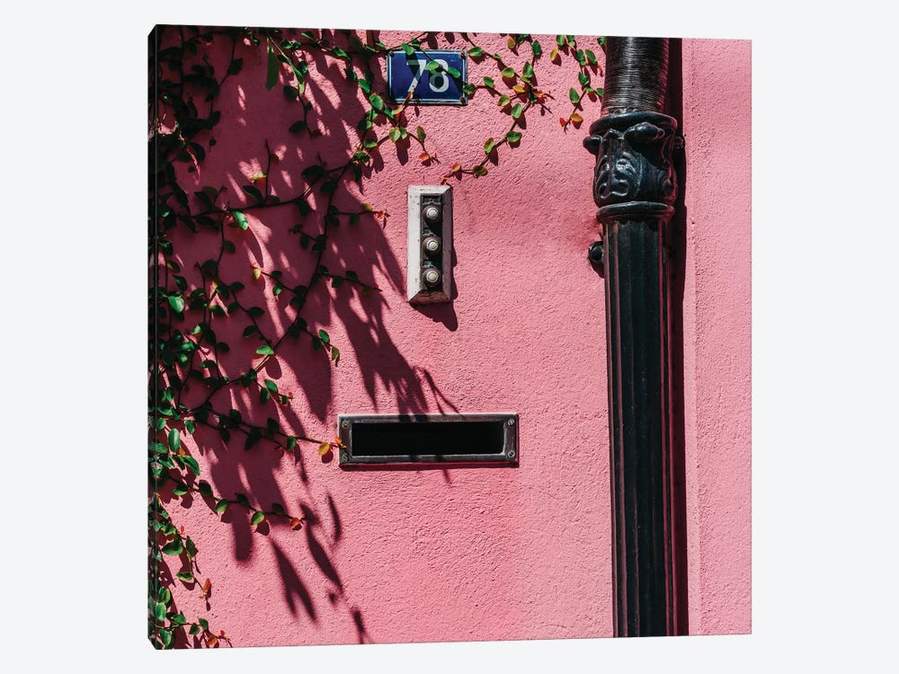 Charleston Pink XIX by Bethany Young 1-piece Canvas Print