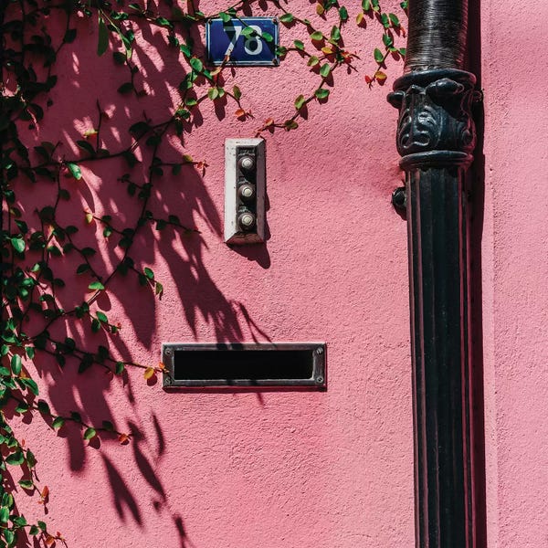 Charleston: Charleston Pink XIX by Bethany Young