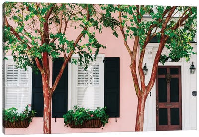 Charleston Pink XV Canvas Art Print - Window Art