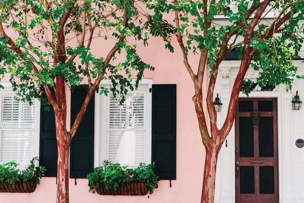 South Carolina: Charleston Pink XV by Bethany Young