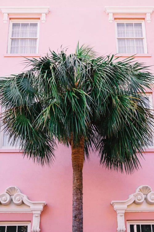 Charleston Pink by Bethany Young wall art