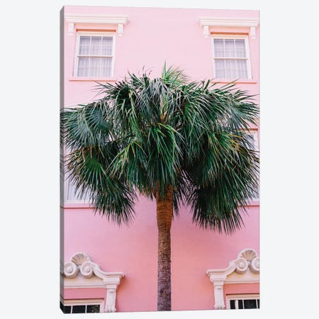 Charleston Pink Canvas Print #BTY994} by Bethany Young Canvas Wall Art