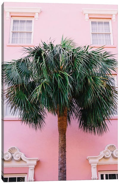 Charleston Pink Canvas Art Print - Palm Tree Art