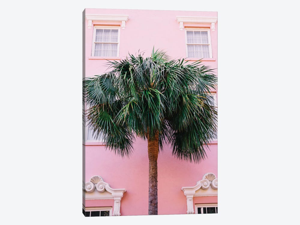 Charleston Pink by Bethany Young 1-piece Canvas Art Print