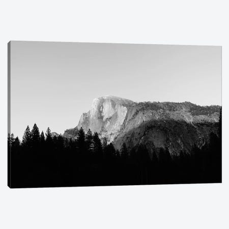 Yosemite National Park VIII Canvas Print #BTY99} by Bethany Young Art Print