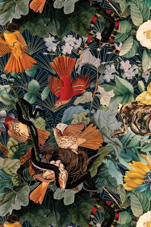 Birds And Snakes by Burcu Korkmazyurek wall art