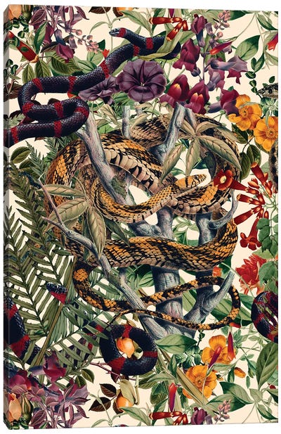 Dangers In The Forest II Canvas Art Print - Snake Art