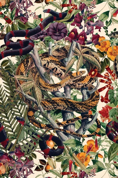 Snakes: Dangers In The Forest II by Burcu Korkmazyurek