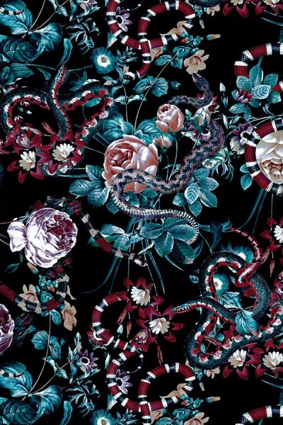 Snakes: Dangers In The Forest III-II by Burcu Korkmazyurek