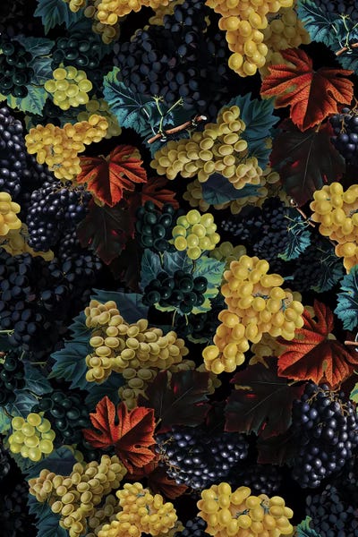 Burcu Korkmazyurek: Delicious Harvest by Burcu Korkmazyurek