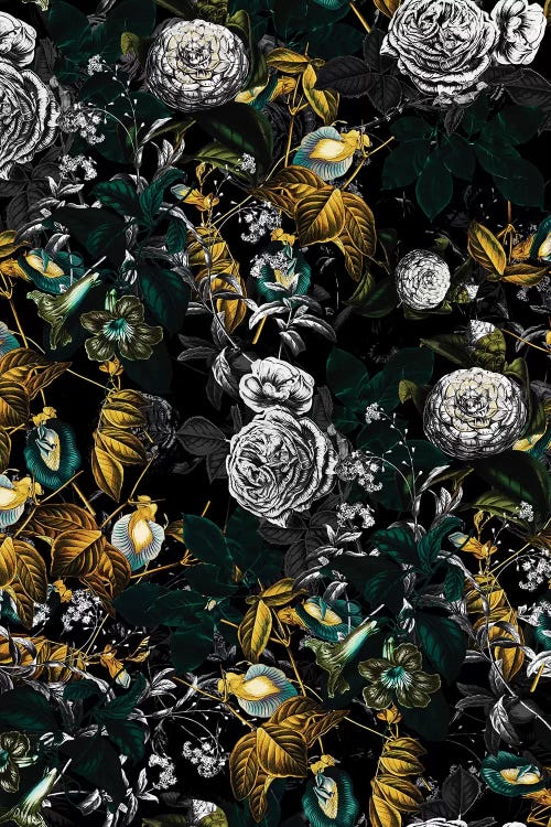 Exotic Garden - Night I by Burcu Korkmazyurek wall art