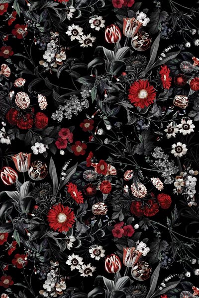 Daisies: Exotic Garden - Night IV by Burcu Korkmazyurek