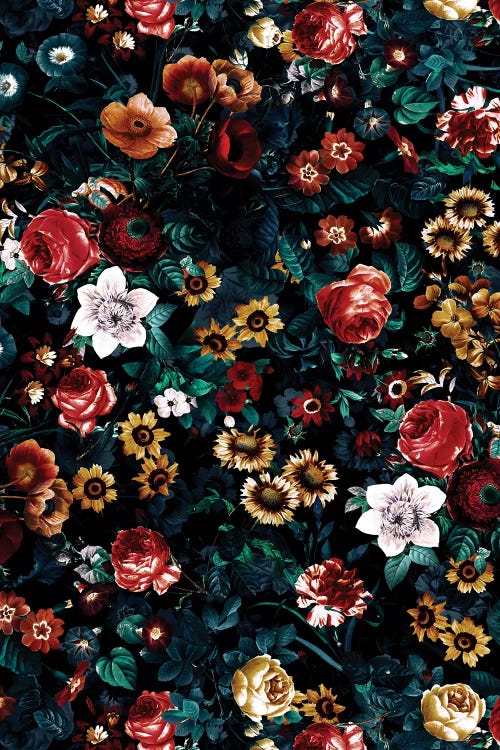 Exotic Garden - Night VI by Burcu Korkmazyurek wall art