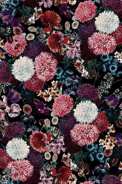 Exotic Garden - Night VIII by Burcu Korkmazyurek wall art
