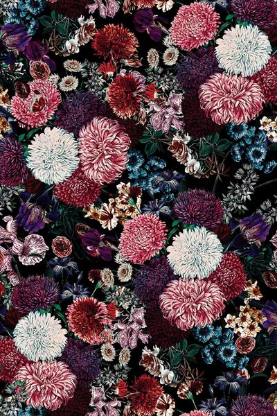 Chrysanthemums: Exotic Garden - Night VIII by Burcu Korkmazyurek