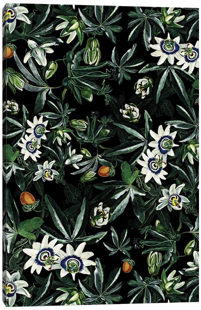 Exotic Garden - Night XI Canvas Art Print - Floral & Botanical Patterns