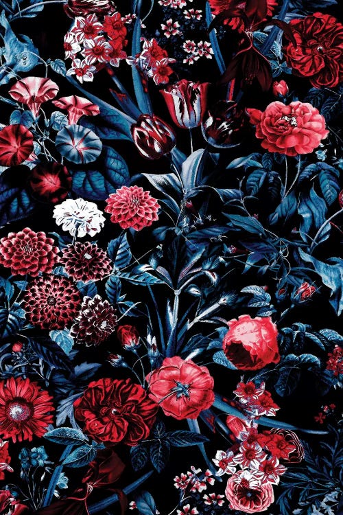 Exotic Garden - Night XX by Burcu Korkmazyurek wall art