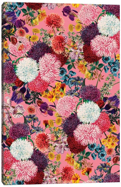 Floral Pink Pattern Canvas Art Print - Chrysanthemum Art