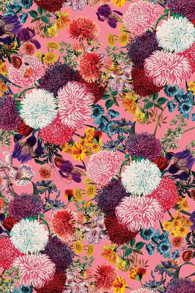 Chrysanthemums: Floral Pink Pattern by Burcu Korkmazyurek