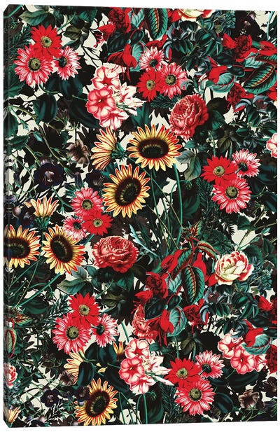 Flower Garden II Canvas Art Print - Burcu Korkmazyurek