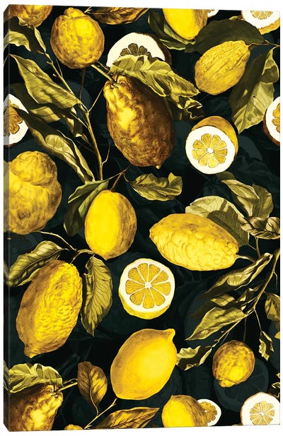 Lemon And Leaf Pattern V Canvas Art Print - Lemon & Lime Art