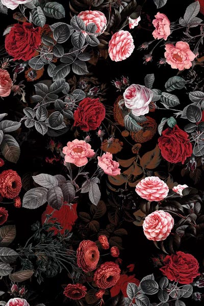 Floral & Botanical Patterns: Night Forest XVI by Burcu Korkmazyurek