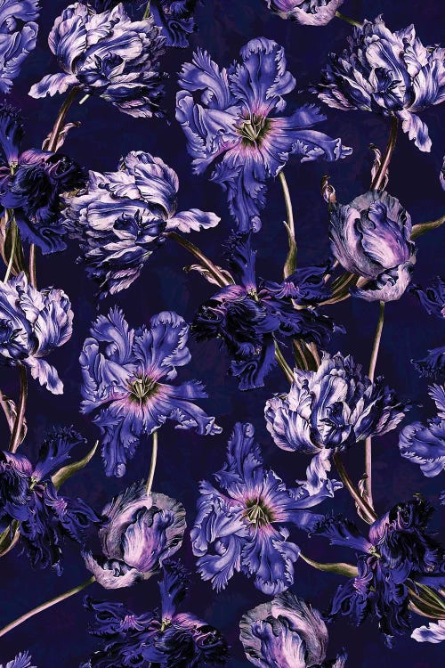 Night Garden XXVIII