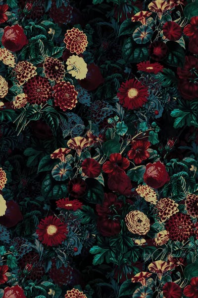 Night Garden XXXI by Burcu Korkmazyurek canvas print